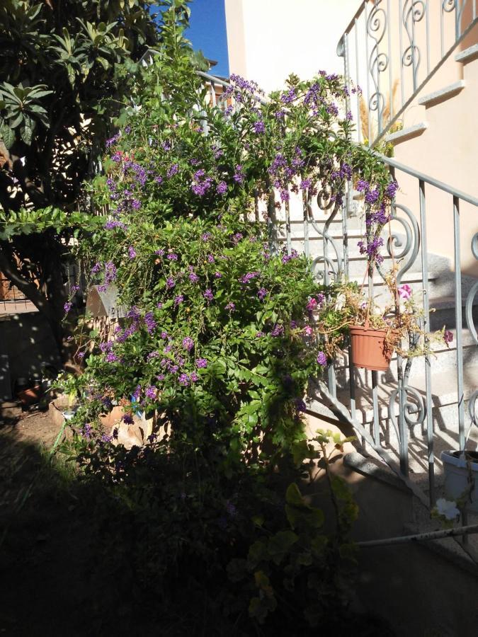 B&B Sos Manneddos Posada  Luaran gambar